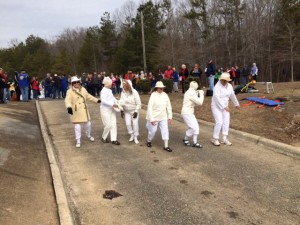 bears walking