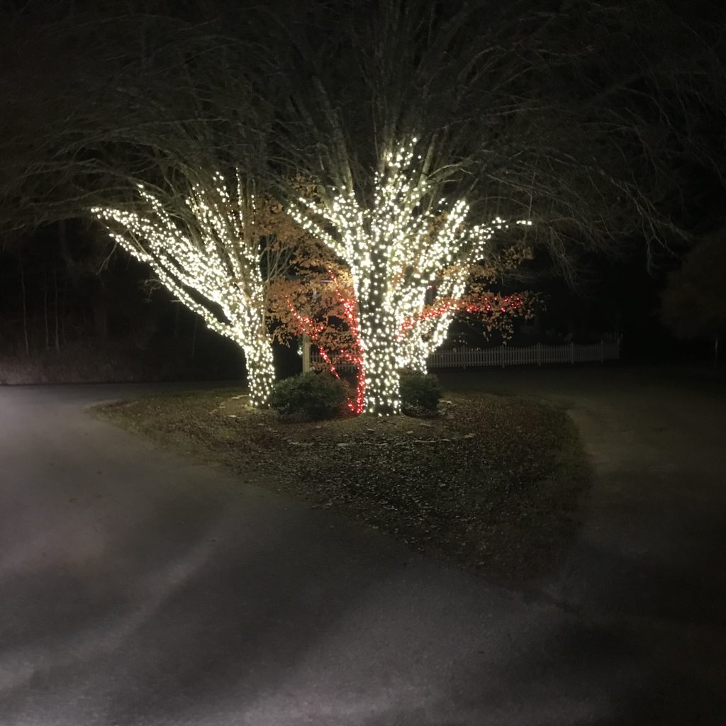 Christmas magic in lights